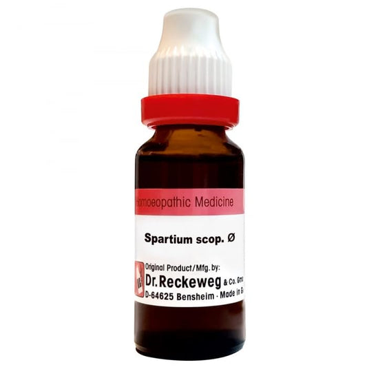 Dr. Reckeweg Spartium Scoparium Mother Tincture Q - 1X - 20 ml
