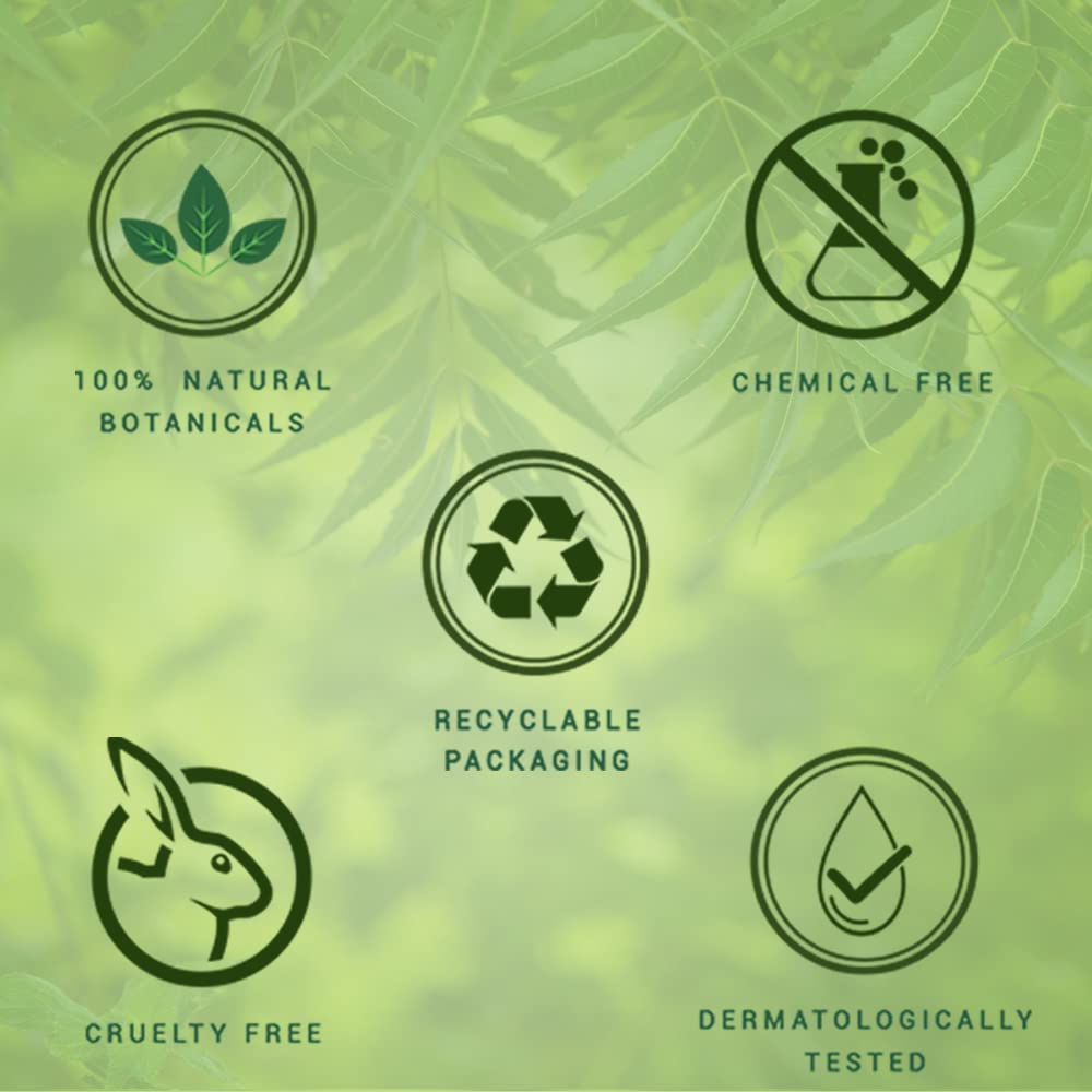 Biotique Fresh Neem Anti Dandruff Shampoo and Conditioner | Controls Dandruff | Suitable for All Skin Types | 180ml