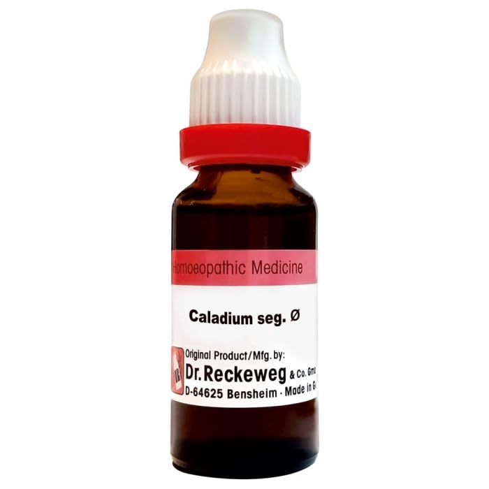 Dr. Reckeweg Caladium Seg Mother Tincture Q - 20 ml - 1X