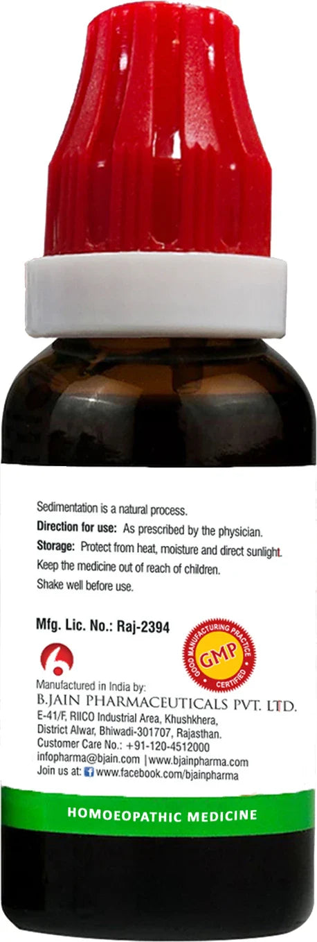Bjain Homeopathy Abies Nigra Mother Tincture Q - 30 ml